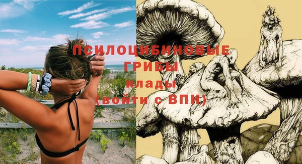mdpv Магас