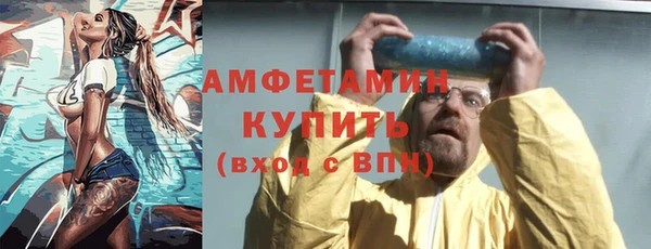 шишки Переславль-Залесский