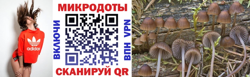 Псилоцибиновые грибы ЛСД  нарко площадка как зайти  Нерехта 